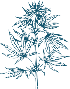 Cannabis pattern leaf